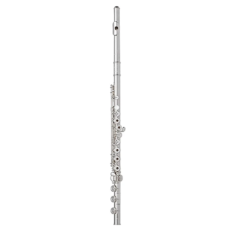 Wm. S Haynes Amadeus AF 780 Flute