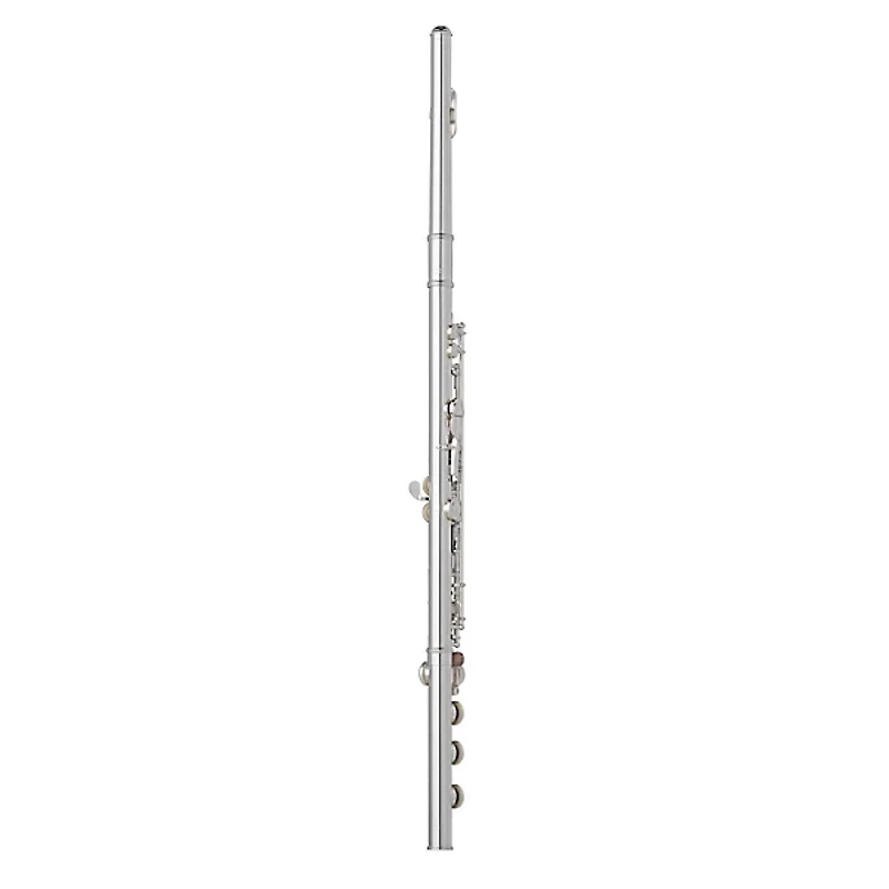 Wm. S Haynes Amadeus AF 780 Flute