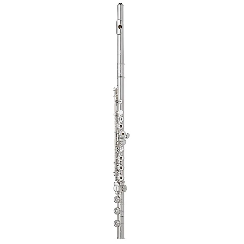 Wm. S Haynes Amadeus AF 780 Flute