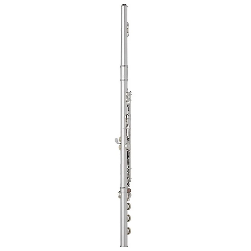 Wm. S Haynes Amadeus AF 780 Flute