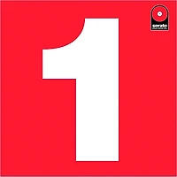 SERATO 12" Performance Series Control Vinyl (Single) -