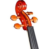 Rozanna's Violins Butterfly Rose Tattoo Series Violin Outfit