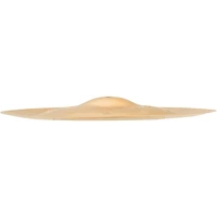 SABIAN AA Mini Holy China, Brilliant