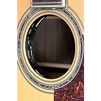 Fishman Ellipse Matrix Blend Pickup System - Wide Format 1/8 in.