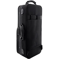 Allora AAS-250 Student Series Alto Saxophone Lacquer