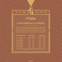 D'Angelico Electrozinc Jazz 12-52 Light Electric Guitar Strings