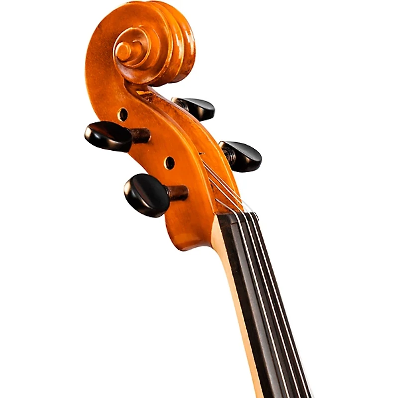 Bellafina Viola OTF Niccolo Model Oblong Case/Brazilwood Bow 16 in.