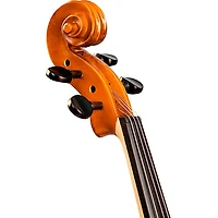 Bellafina Viola OTF Niccolo Model Oblong Case/Brazilwood Bow 16 in.