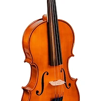 Bellafina Viola OTF Niccolo Model Oblong Case/Brazilwood Bow 16 in.