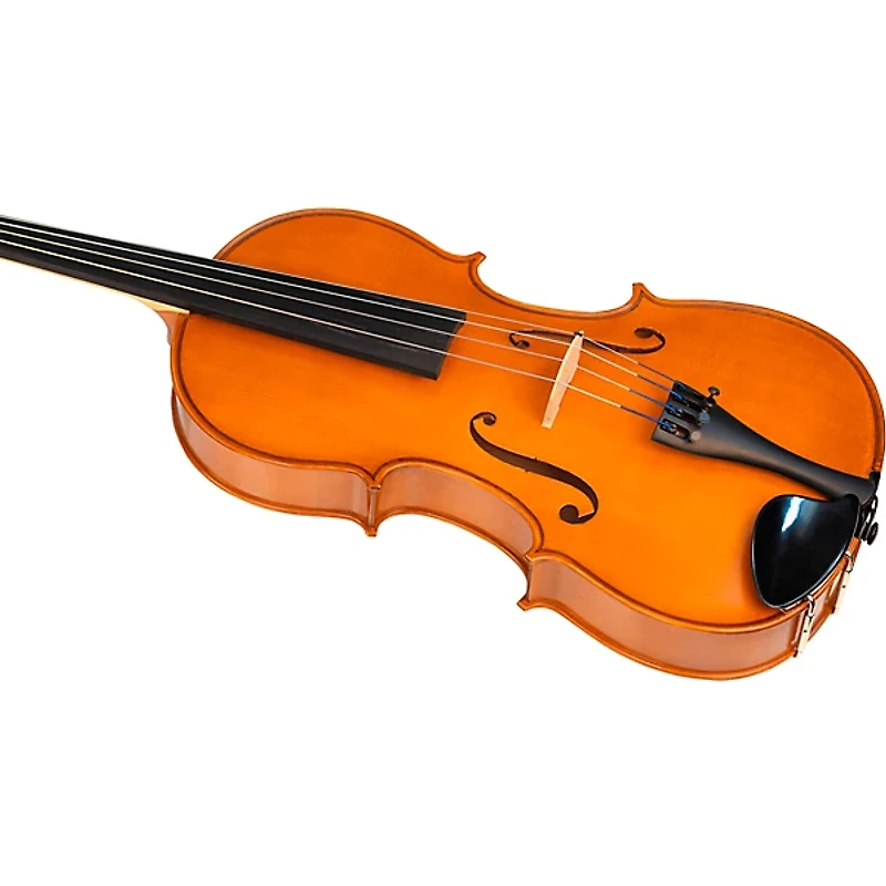 Bellafina Viola OTF Niccolo Model Oblong Case/Brazilwood Bow 16 in.