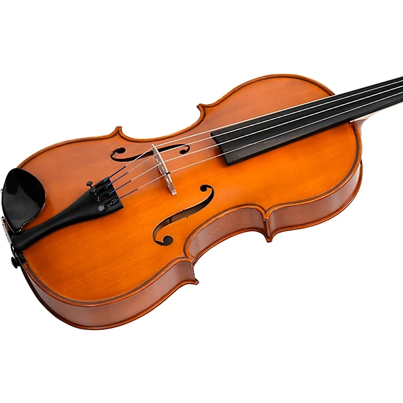 Bellafina Viola OTF Niccolo Model Oblong Case/Brazilwood Bow 16 in.