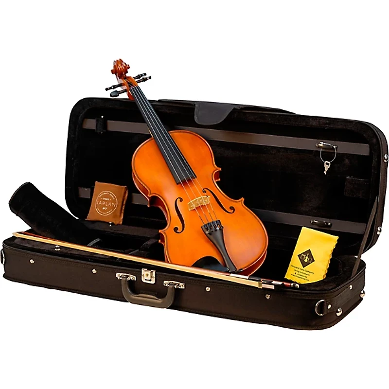 Bellafina Viola OTF Niccolo Model Oblong Case/Brazilwood Bow 16 in.