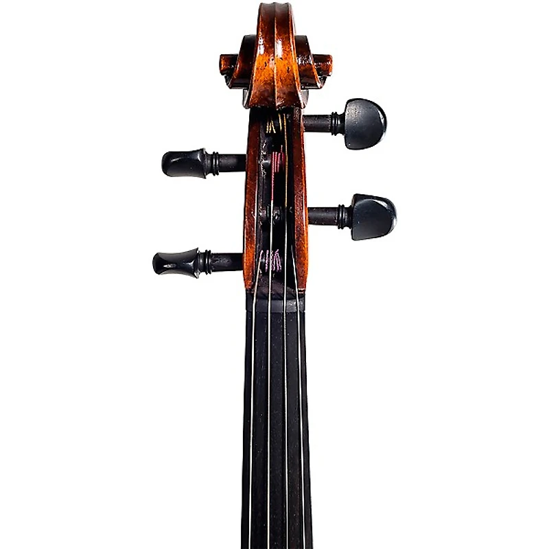 Strobel MA-300 Recital Series Viola Outfit