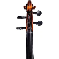 Strobel MA-300 Recital Series Viola Outfit
