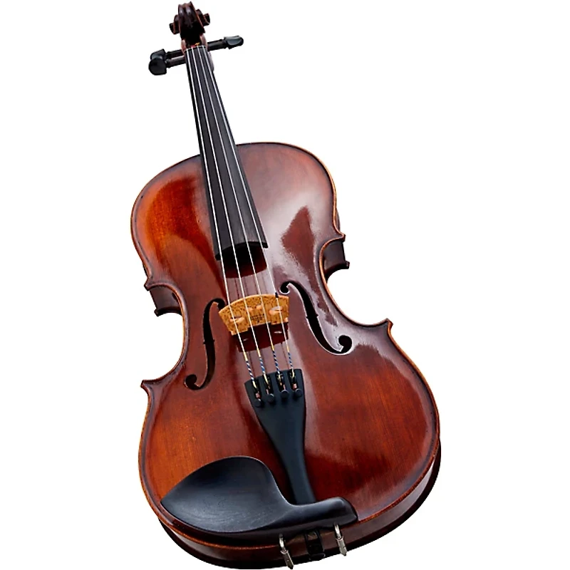 Strobel MA-300 Recital Series Viola Outfit