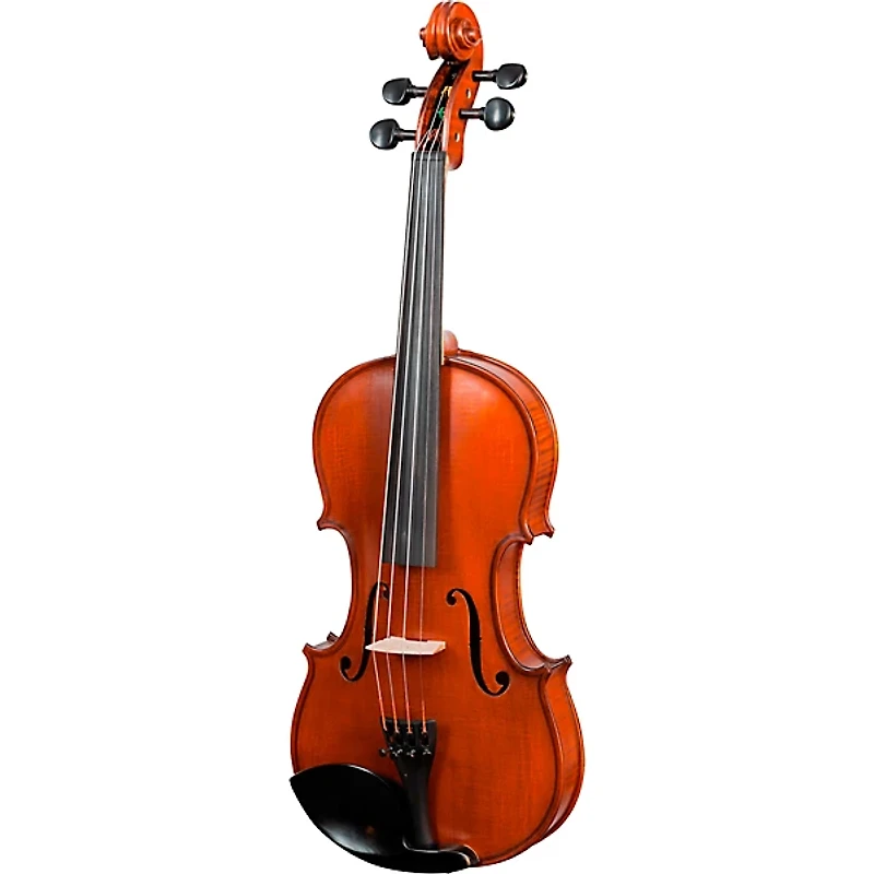 Bellafina Violin Outfit Domenico Model Oblong Case/Brazilwood Bow 4/4