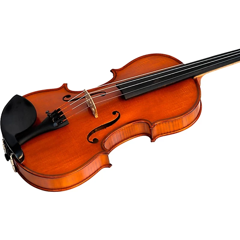 Bellafina Violin Outfit Domenico Model Oblong Case/Brazilwood Bow 4/4