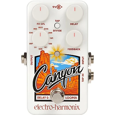 Electro-Harmonix Canyon Delay and Looper Pedal