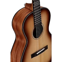 Alvarez Delta DeLite Small-Bodied Acoustic Guitar Natural