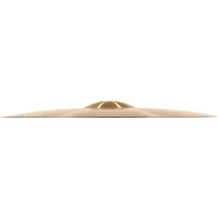 MEINL Pure Alloy Traditional Medium Ride Cymbal