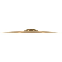MEINL Pure Alloy Traditional Medium Ride Cymbal
