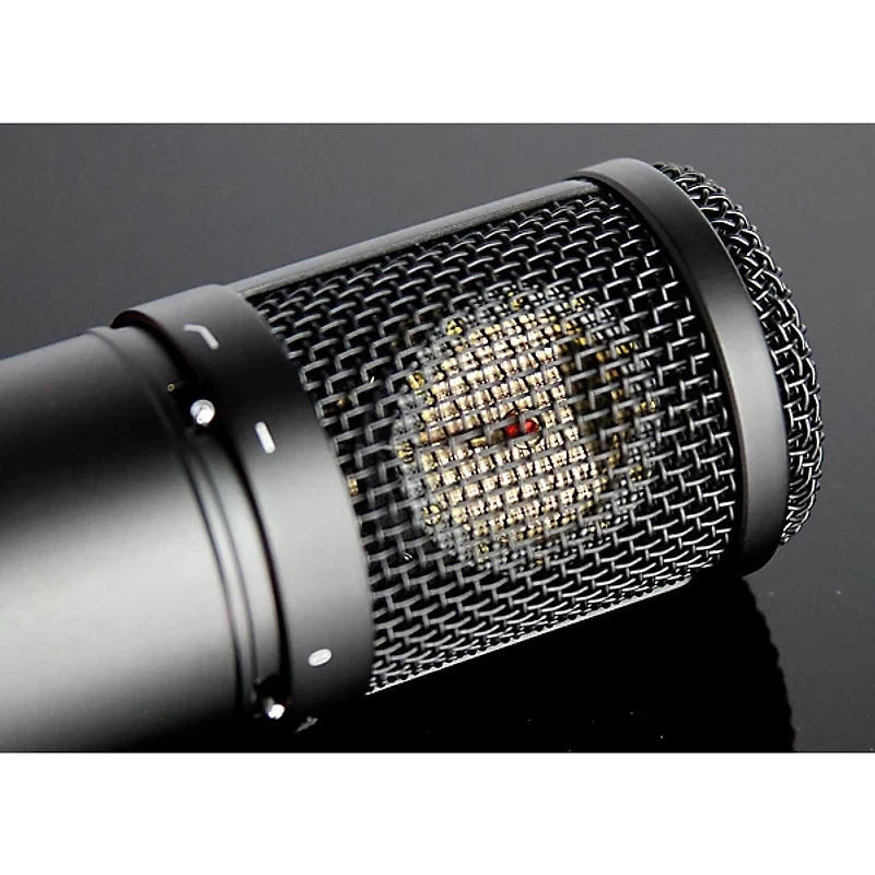 TASCAM TM-280 Large-Diaphragm Condenser Microphone