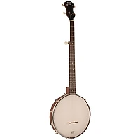Recording King RKO-3S Open-Back Banjo