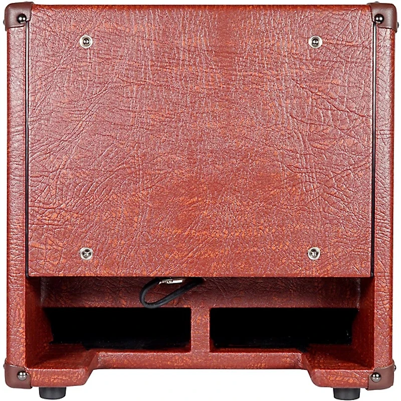 DV Mark AC 101H 150W 1x10 Acoustic Combo Amp