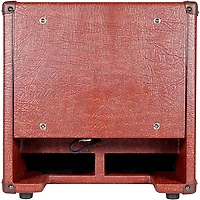 DV Mark AC 101H 150W 1x10 Acoustic Combo Amp