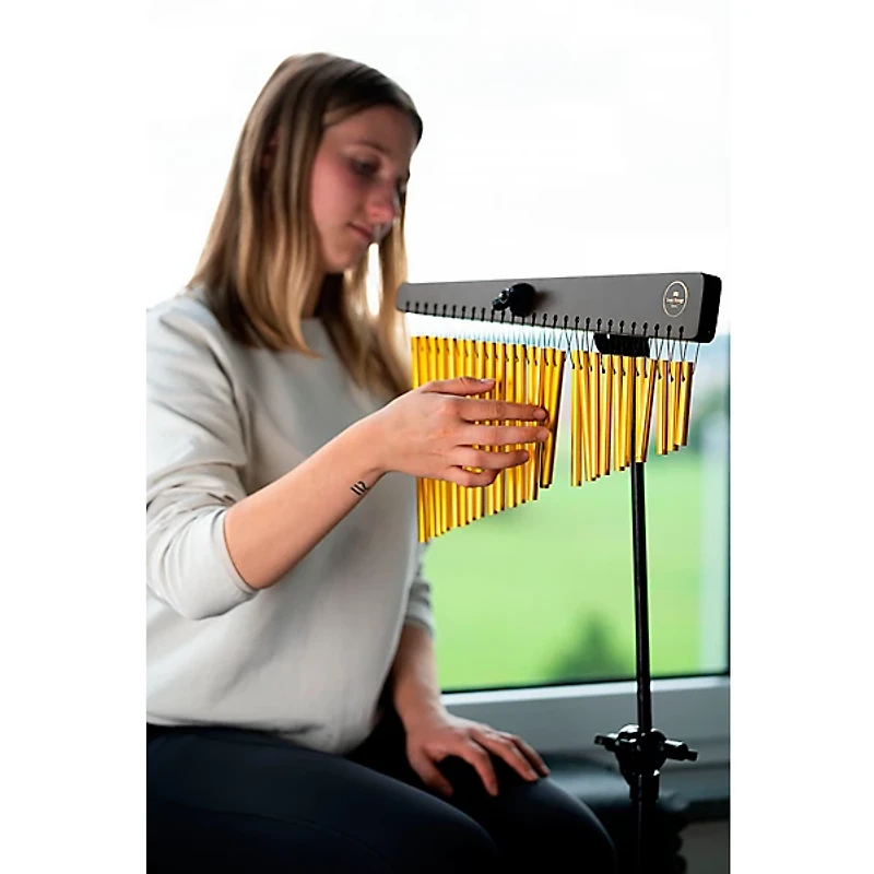 MEINL Sonic Energy CH27WB Single Row Chimes With 27 Gold-Anodized Aluminum Alloy Bars, Walnut Brown