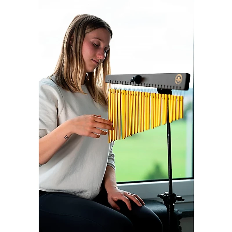 MEINL Sonic Energy CH27WB Single Row Chimes With 27 Gold-Anodized Aluminum Alloy Bars, Walnut Brown