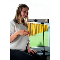 MEINL Sonic Energy CH27WB Single Row Chimes With 27 Gold-Anodized Aluminum Alloy Bars, Walnut Brown