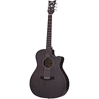Schecter Guitar Research Deluxe Acoustic Guitar