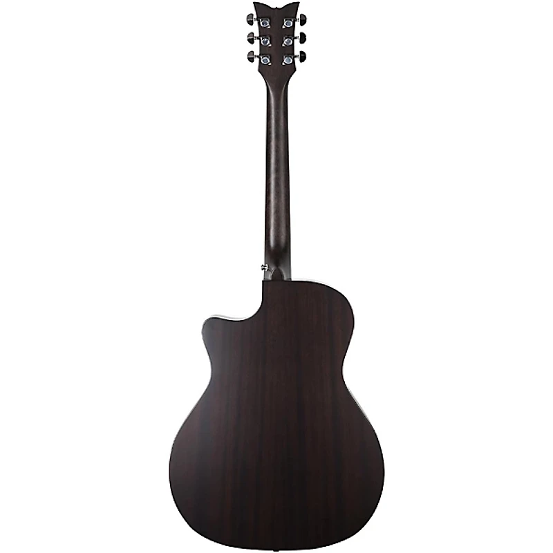 Schecter Guitar Research Deluxe Acoustic Guitar