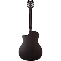 Schecter Guitar Research Deluxe Acoustic Guitar