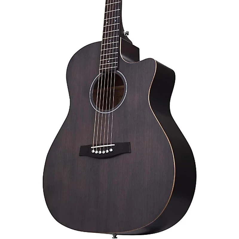 Schecter Guitar Research Deluxe Acoustic Guitar