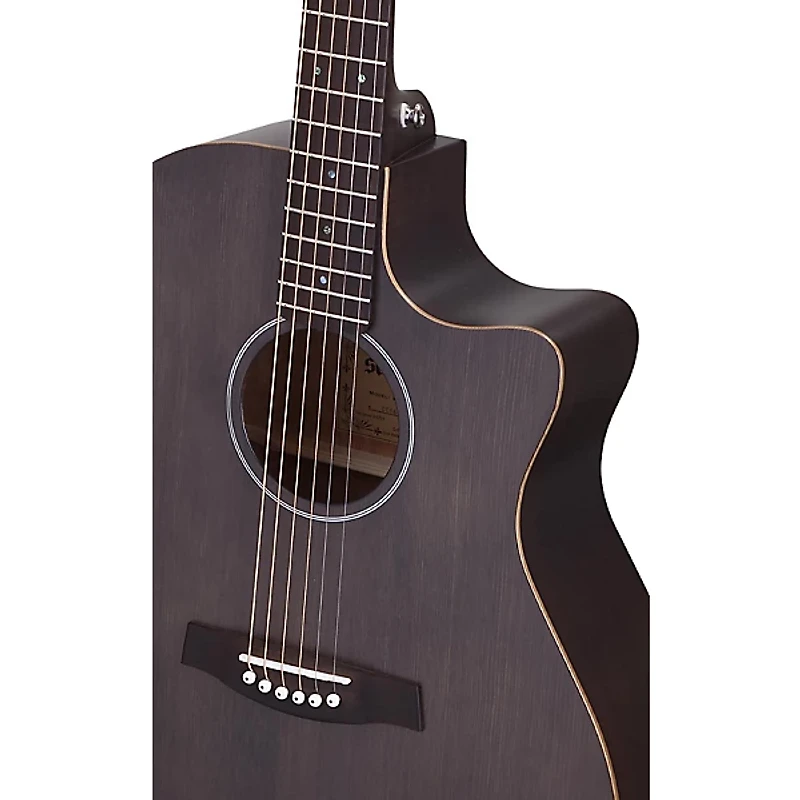 Schecter Guitar Research Deluxe Acoustic Guitar