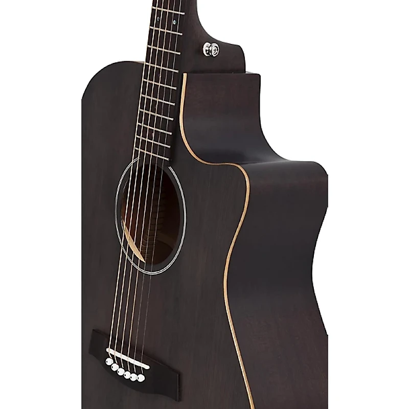 Schecter Guitar Research Deluxe Acoustic Guitar