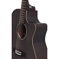 Schecter Guitar Research Deluxe Acoustic Guitar