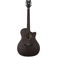 Schecter Guitar Research Deluxe Acoustic Guitar