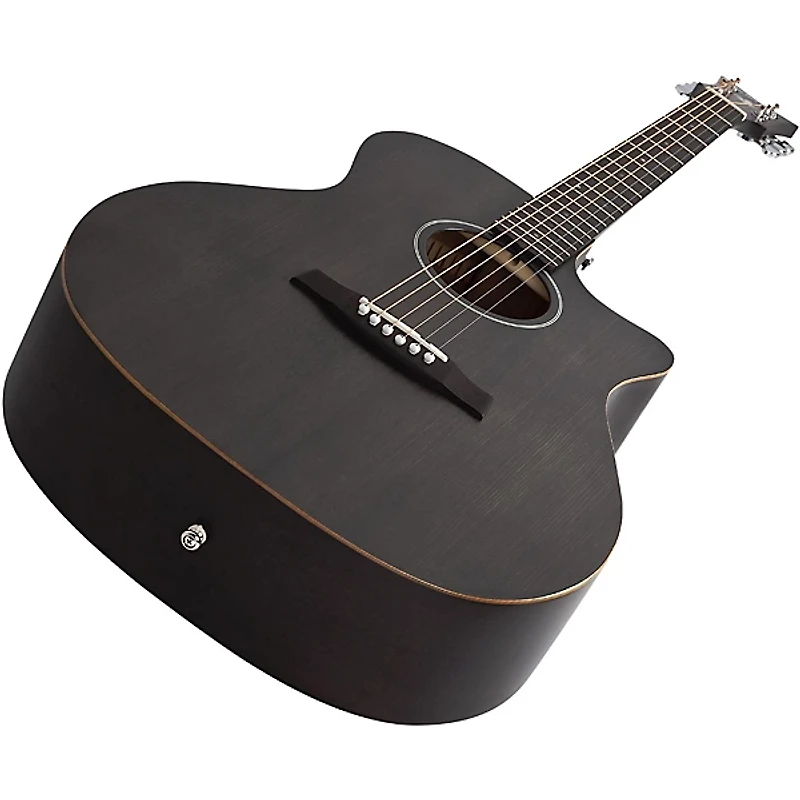 Schecter Guitar Research Deluxe Acoustic Guitar
