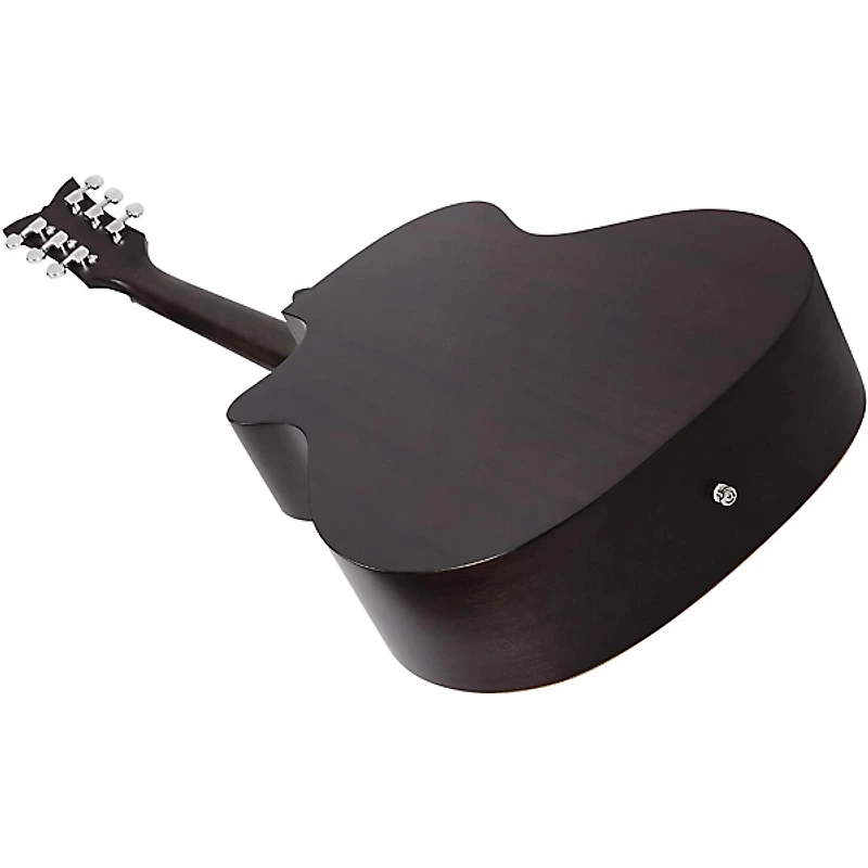 Schecter Guitar Research Deluxe Acoustic Guitar