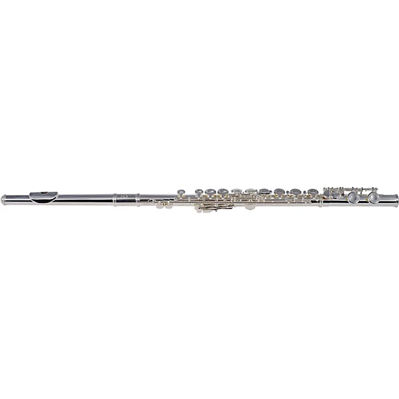 Etude EFL-200 Student Series Flute Offset G C-Foot