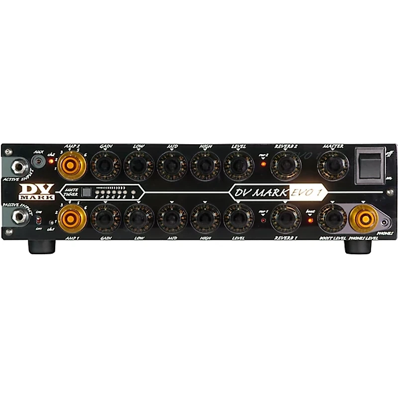 DV Mark EVO 1 250W Guitar Amplifier Head