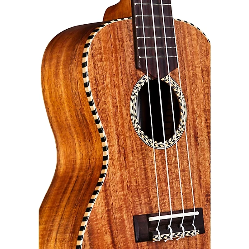 Cordoba 25C Concert Ukulele Natural