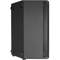 Kustom PA KPX12A 12" Powered Speaker