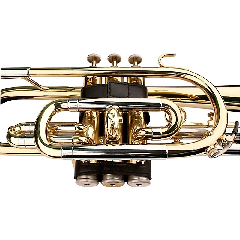 Protec Cornet Leather Valve Guard