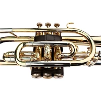 Protec Cornet Leather Valve Guard