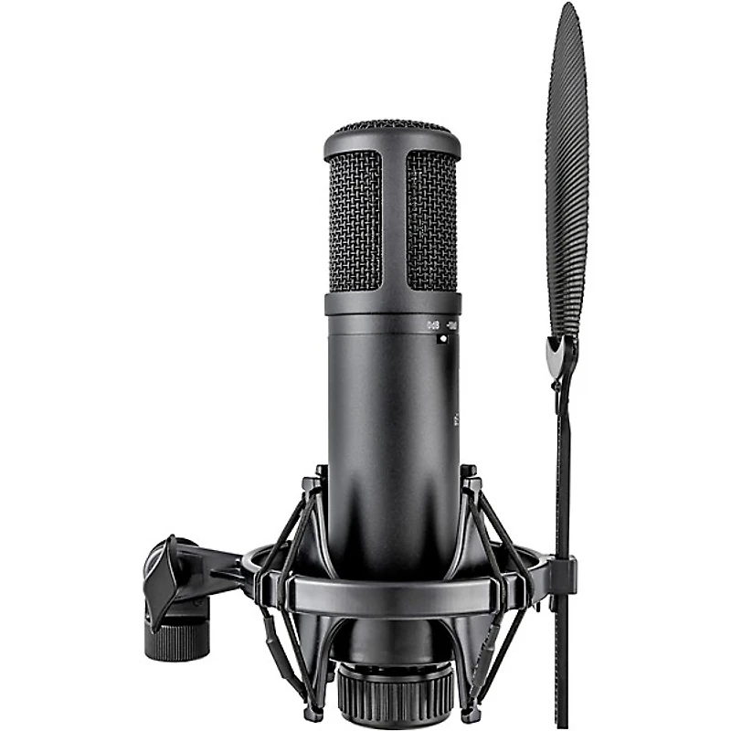 sE Electronics sE2200 Large-Diaphragm Condenser Microphone