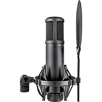 sE Electronics sE2200 Large-Diaphragm Condenser Microphone